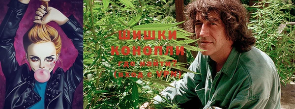 СК Сосновый Бор