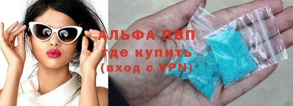 СК Сосновый Бор