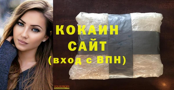 СК Сосновый Бор