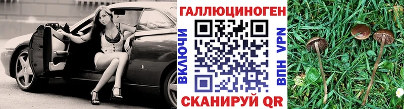 Купить закладки  Далматово  Псилоцибиновые грибы мухоморы 